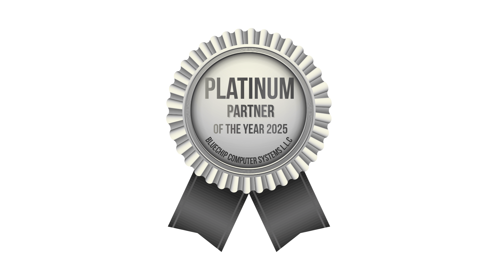 Platinum Partner of the year 2024-2025
