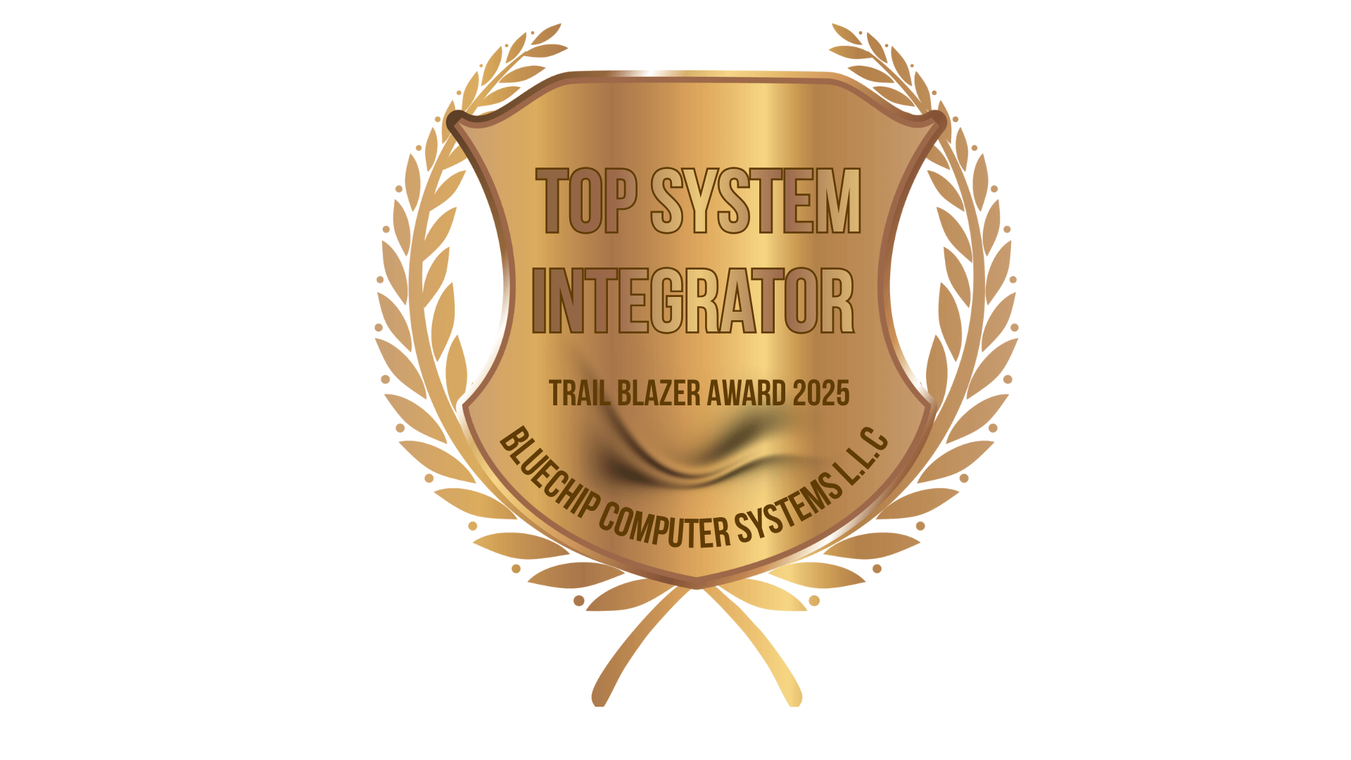 Top System Integrator – Trail blazer Award 2024