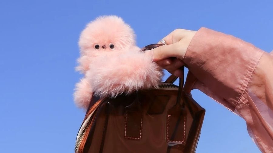 Mirumi Price Guide (2026)