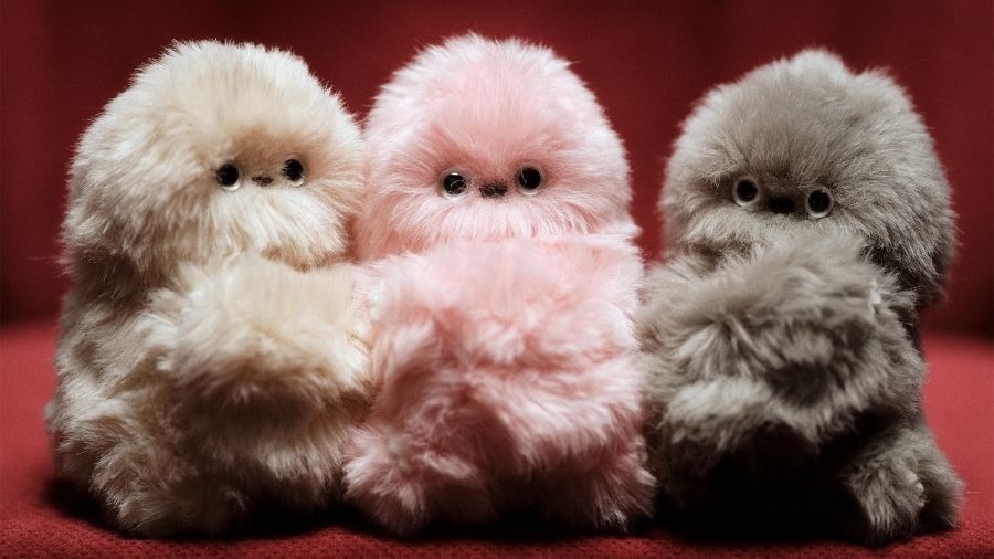 Why Is Mirumi Trending in 2026